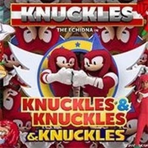 Knuckles Whimsical World Run