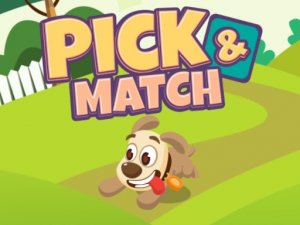 Pick And Match Memory Puzzle Game